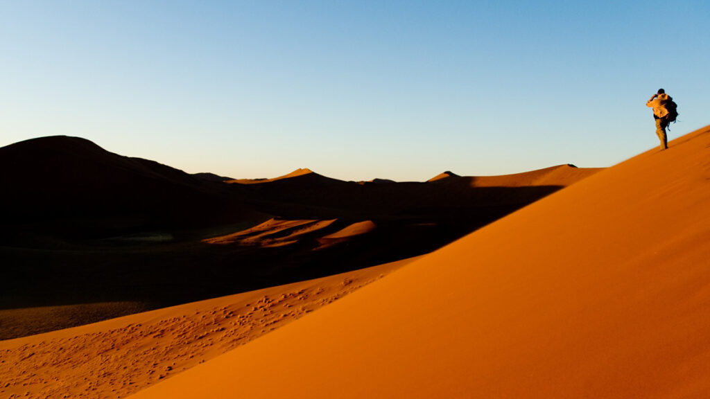 Go Ahead, Take That Dream Safari by Yourself