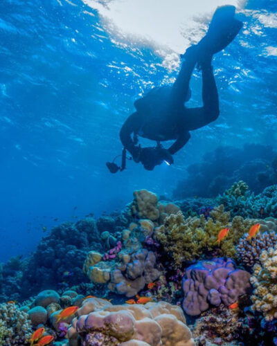 Five Can’t-Miss Experiences in Saudi Arabia