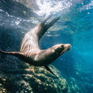 A Father-Daughter Cruise to the Galápagos
