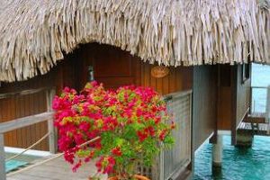 Hilton Moorea Lagoon Resort and Spa