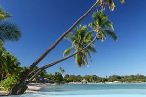 Musket Cove Island Resort